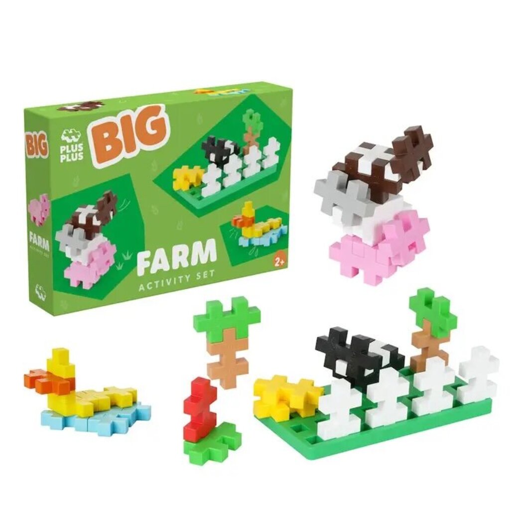 BIG Activity - Farm