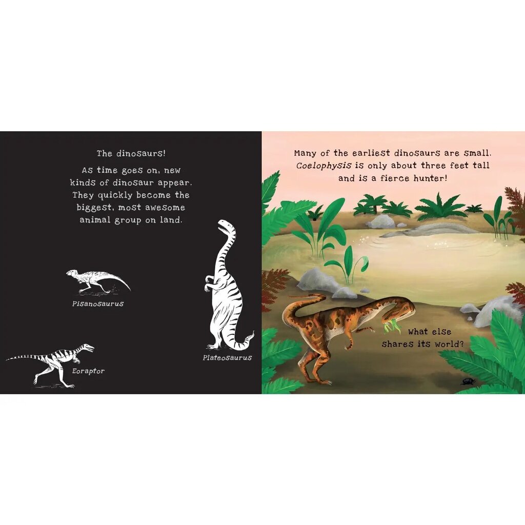 Shine a Light, Dinosaurs