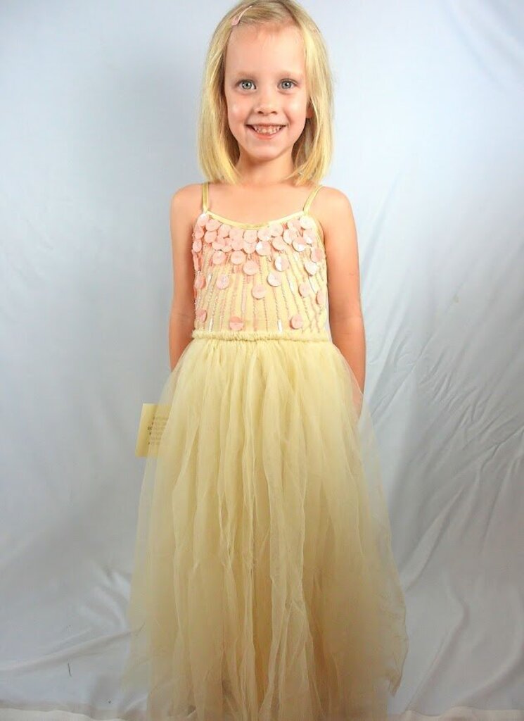 12: In My Dreams Tutu Dress (Style TDM0772) NWT
