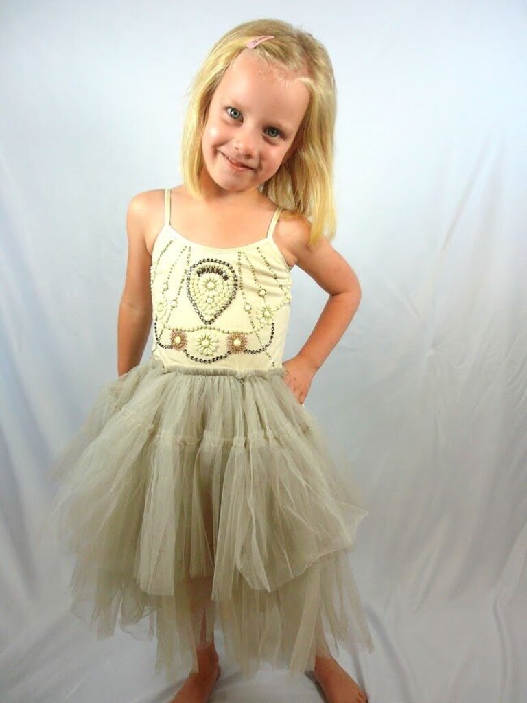 4-5: Beaded Bodice Tutu Dress with Tiered Tulle Skirt (Style TDM0308) NWT