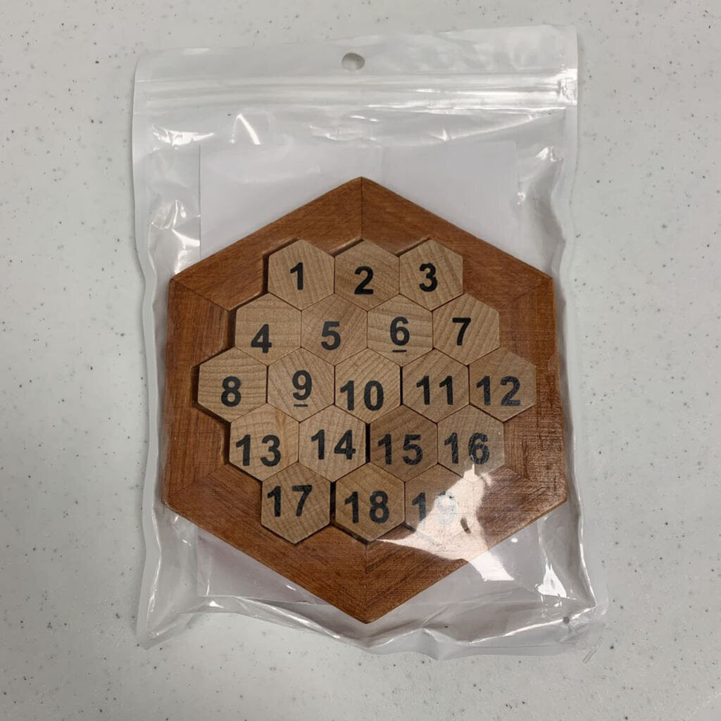 Wooden Logic Puzzle NWT