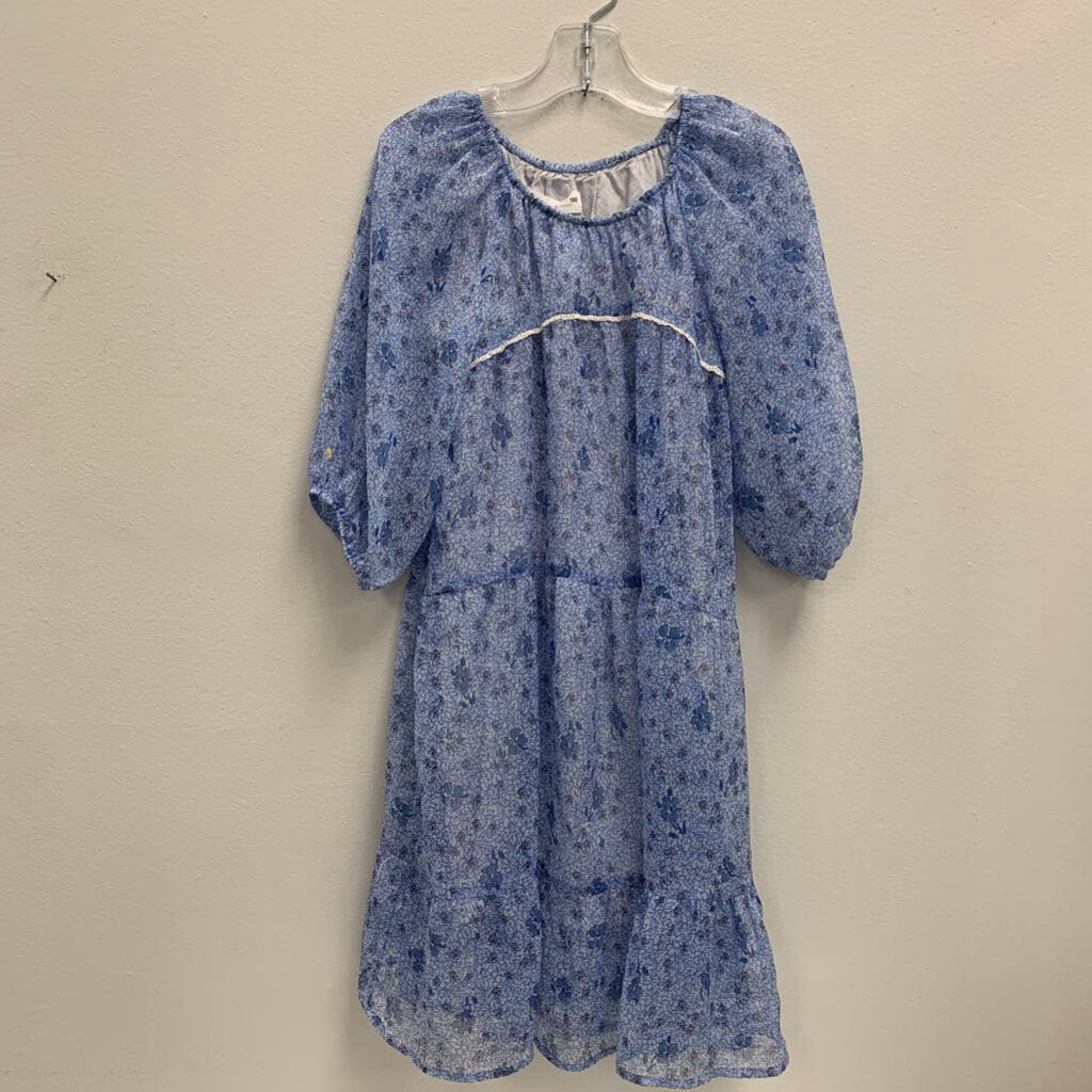 7: Floral Sheer Dress with Lining