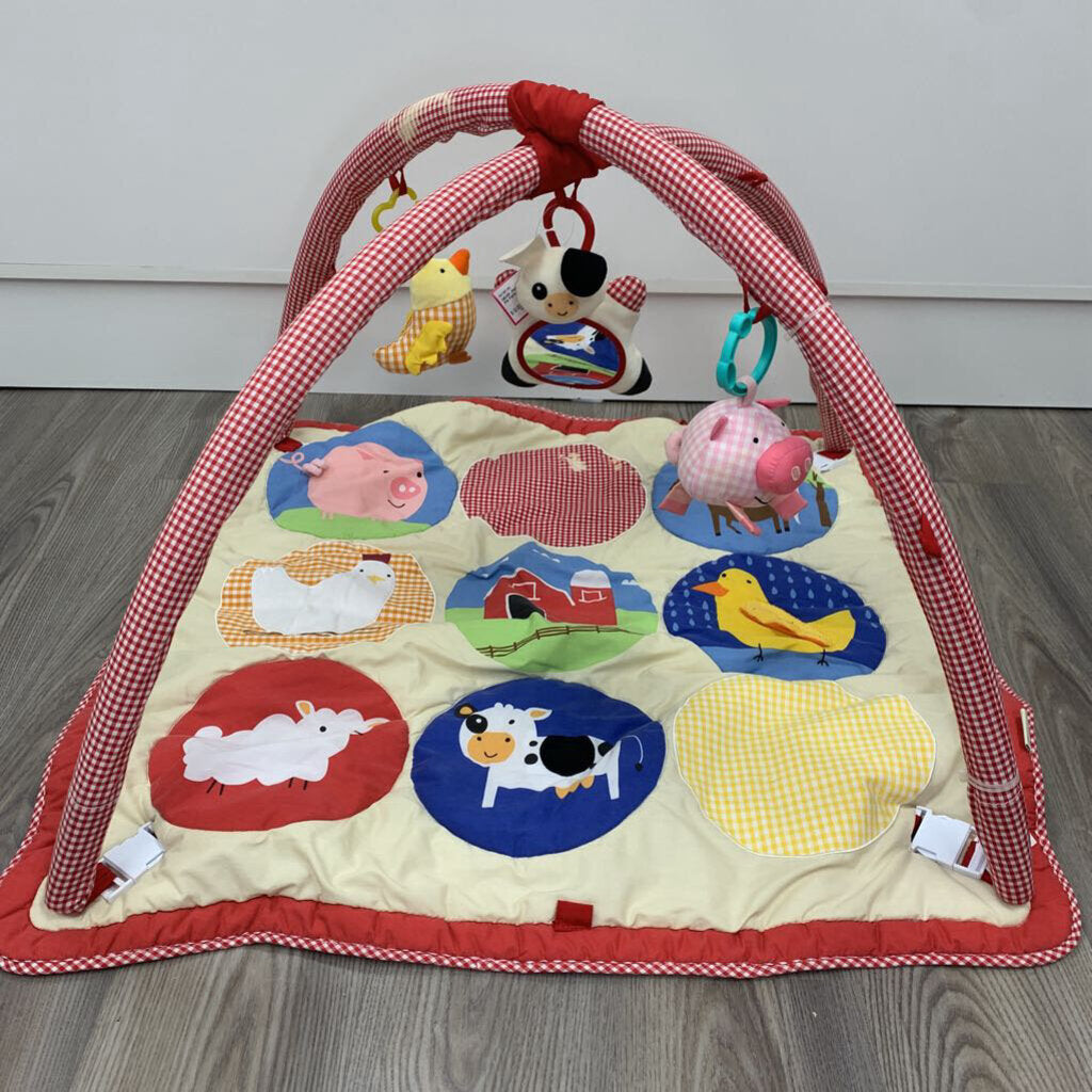 Fun on the Farm Activity Mat