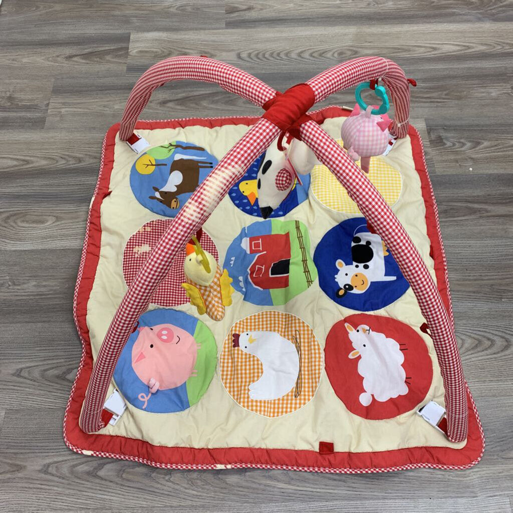 Fun on the Farm Activity Mat