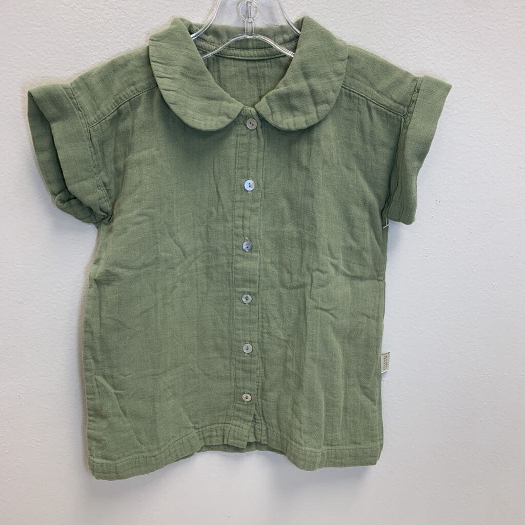 4: Peter Pan Collar & Roll Sleeves Blouse