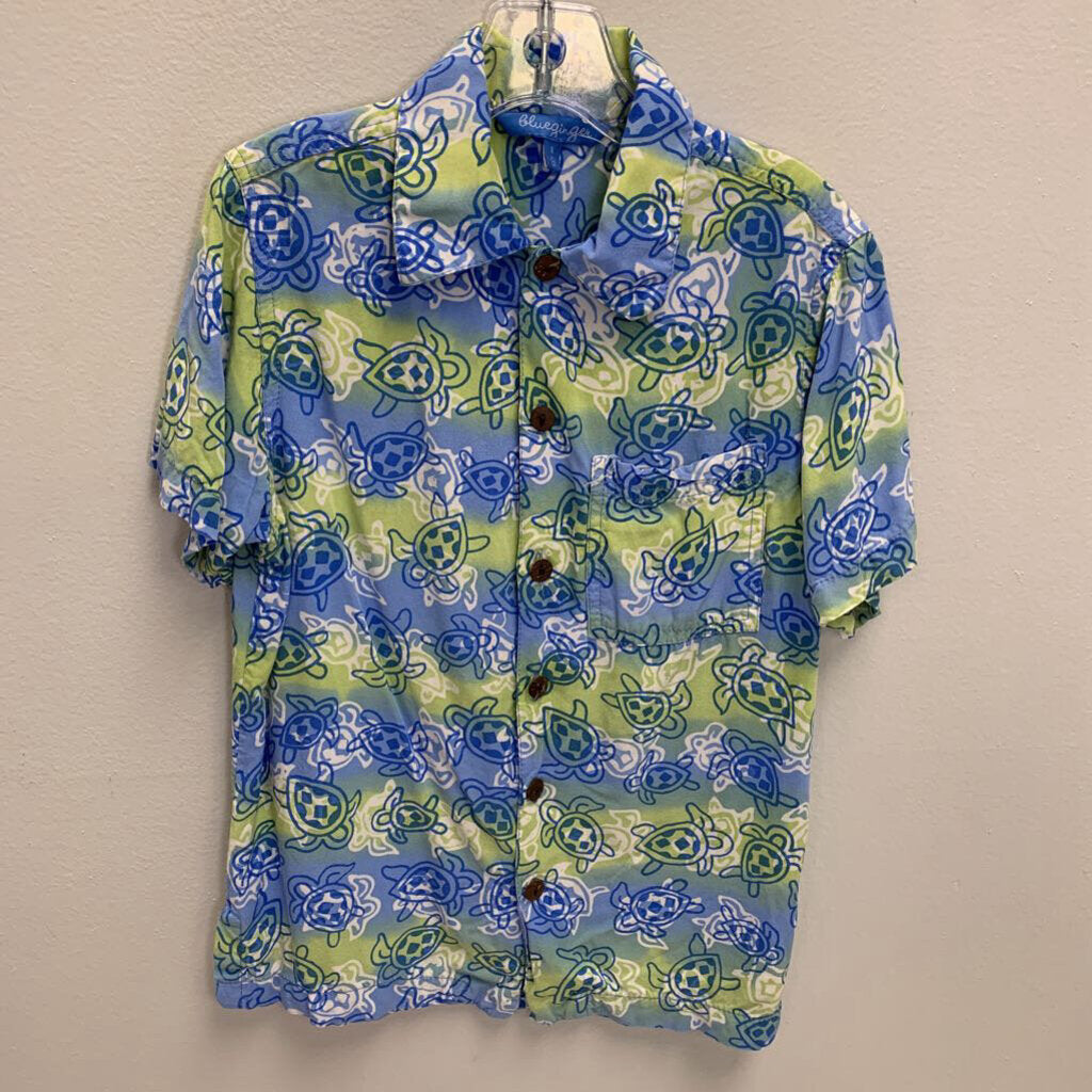 6: Turtle Hawaiian Shirt