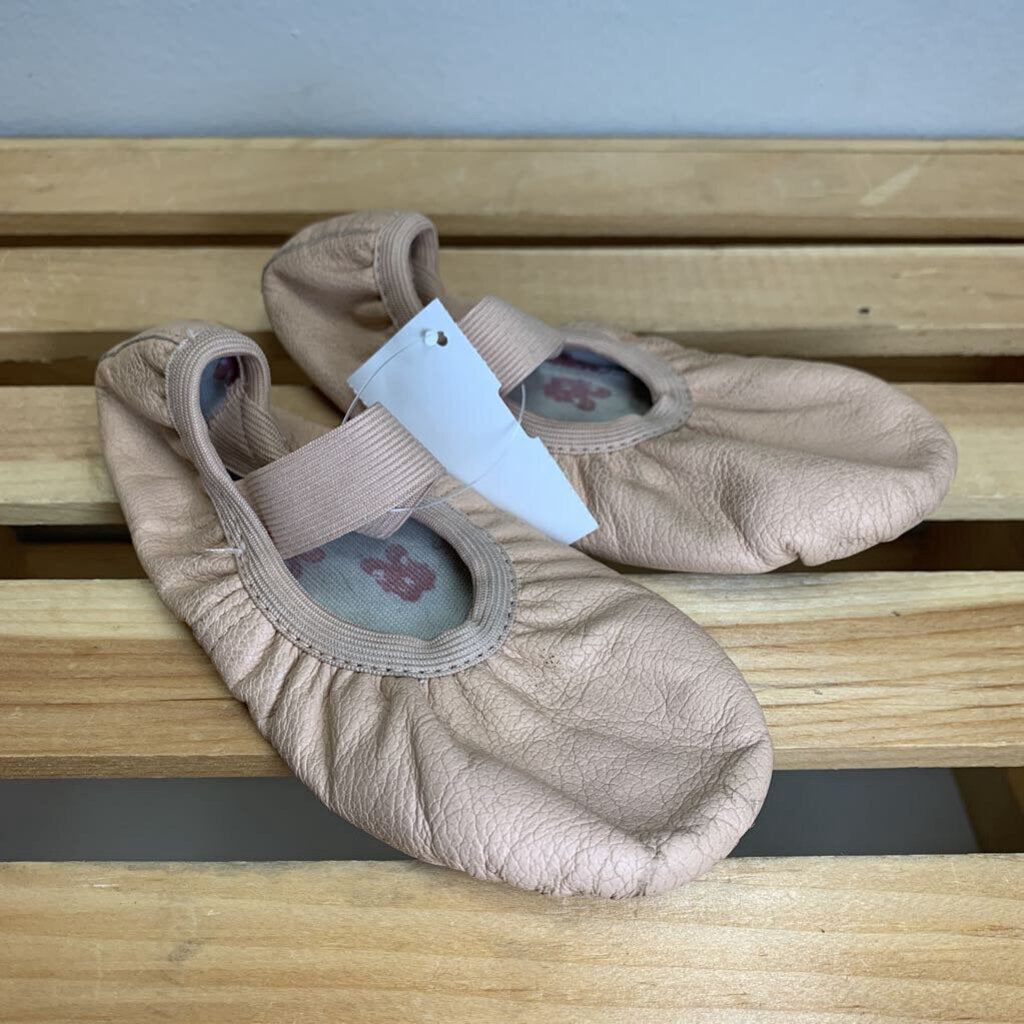 11: Ballet Shoes