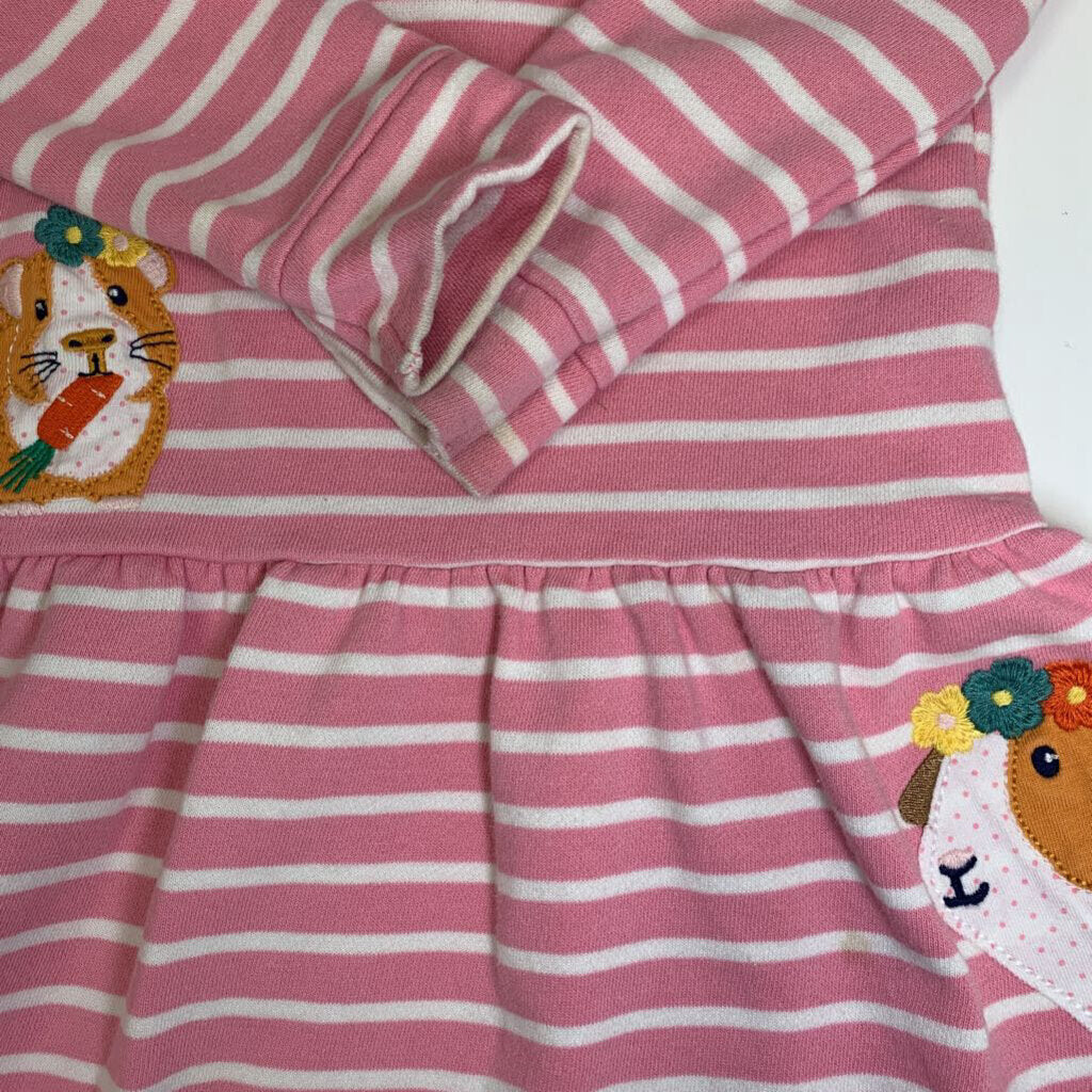 12-18M: Striped Guinea Pig Applique Dress AS IS