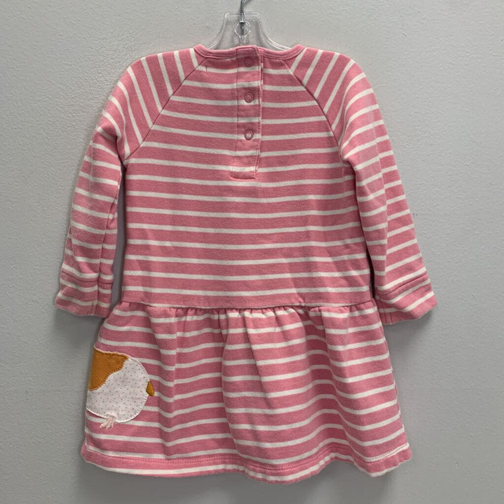 12-18M: Striped Guinea Pig Applique Dress AS IS