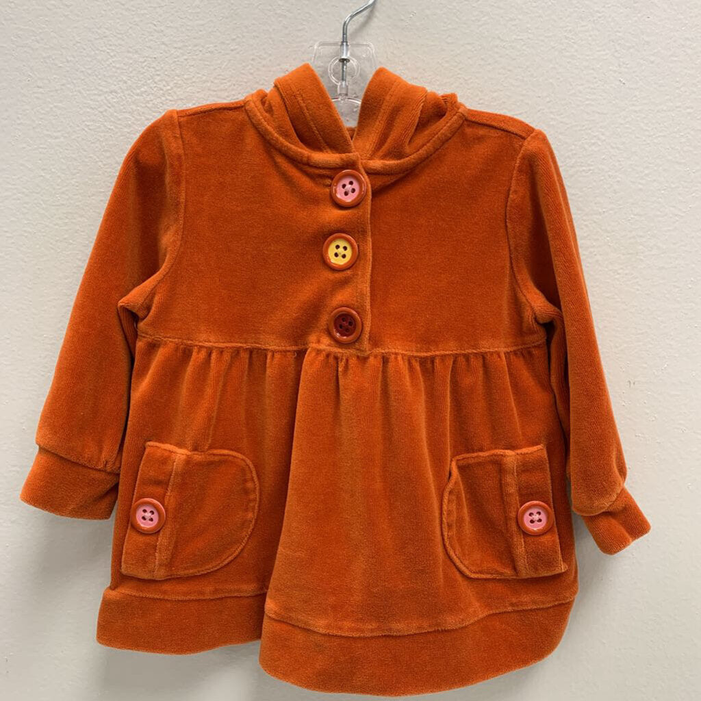 12-18M: Vintage Velour Hooded Top