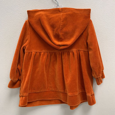 12-18M: Vintage Velour Hooded Top