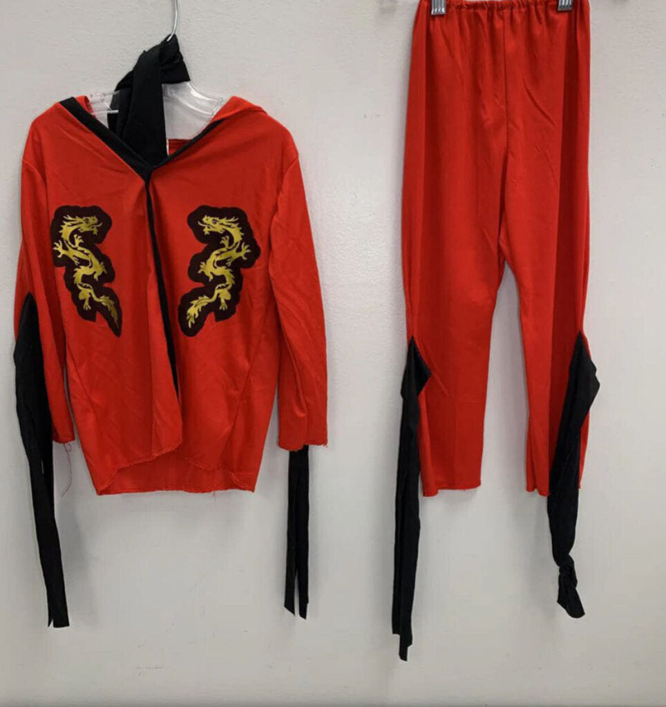 4: Ninja Fire Dragon