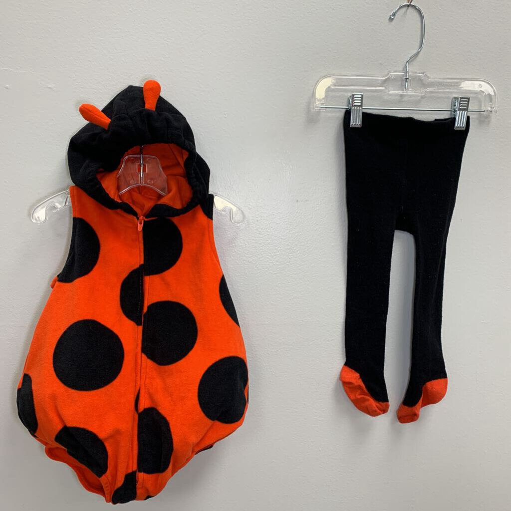 24M: Ladybug