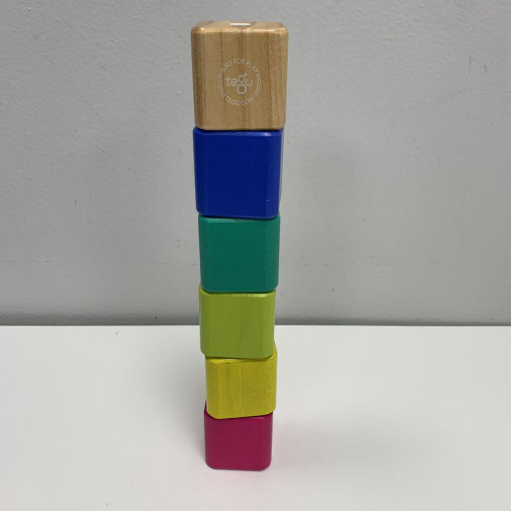 Baby's First Magnetic Blocks