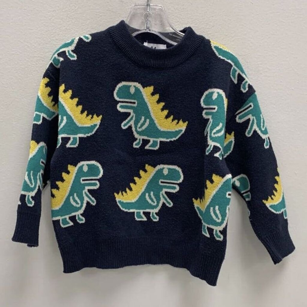 3/4: Dino Sweater