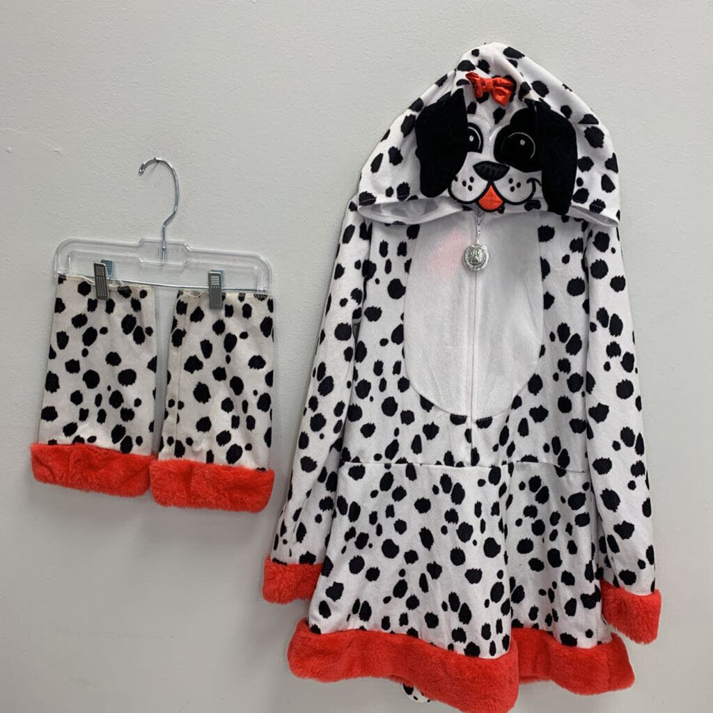 7-8: Dalmatian Pup