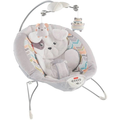 Sweet SnugaPuppy Dreams Deluxe Bouncer NIB