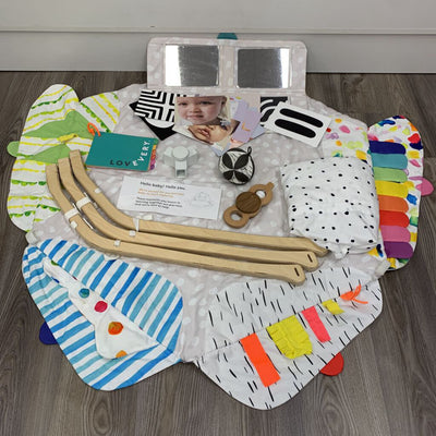 The Play Gym