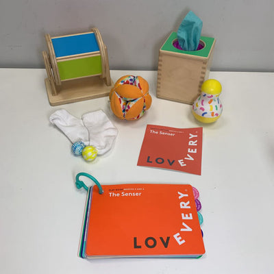 The Senser Kit 5-6 Months (Missing Parts of Me Book)