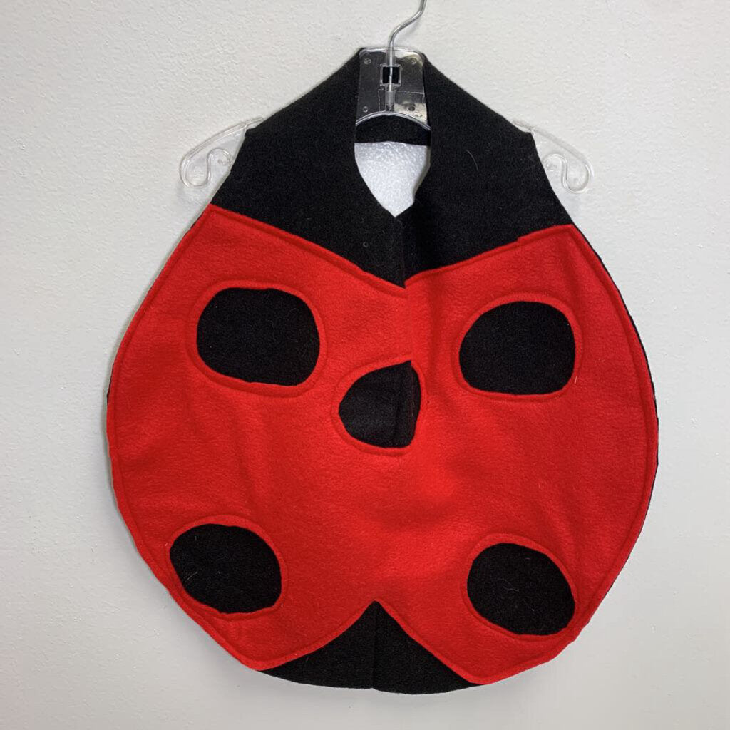 2: Ladybug