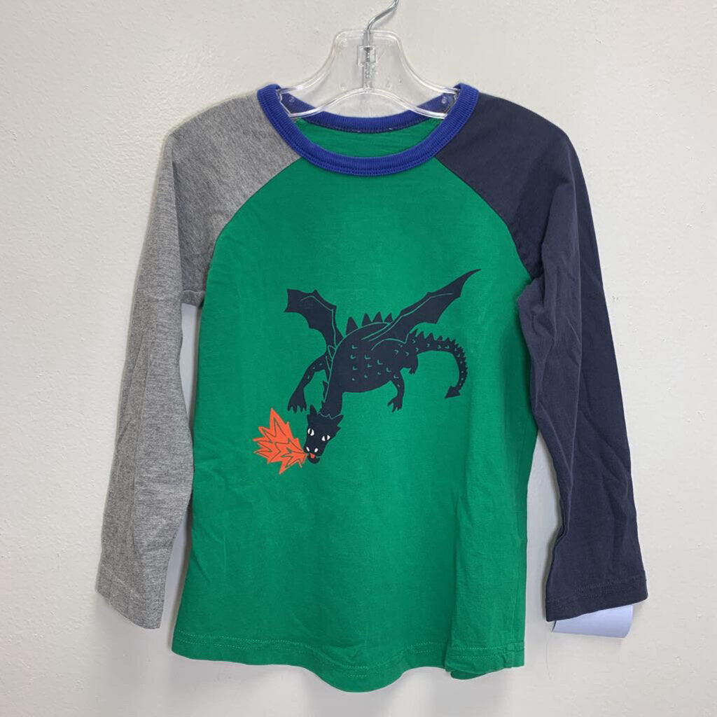 3-4Y: Raglan Sleeve T-Shirt - Dragon