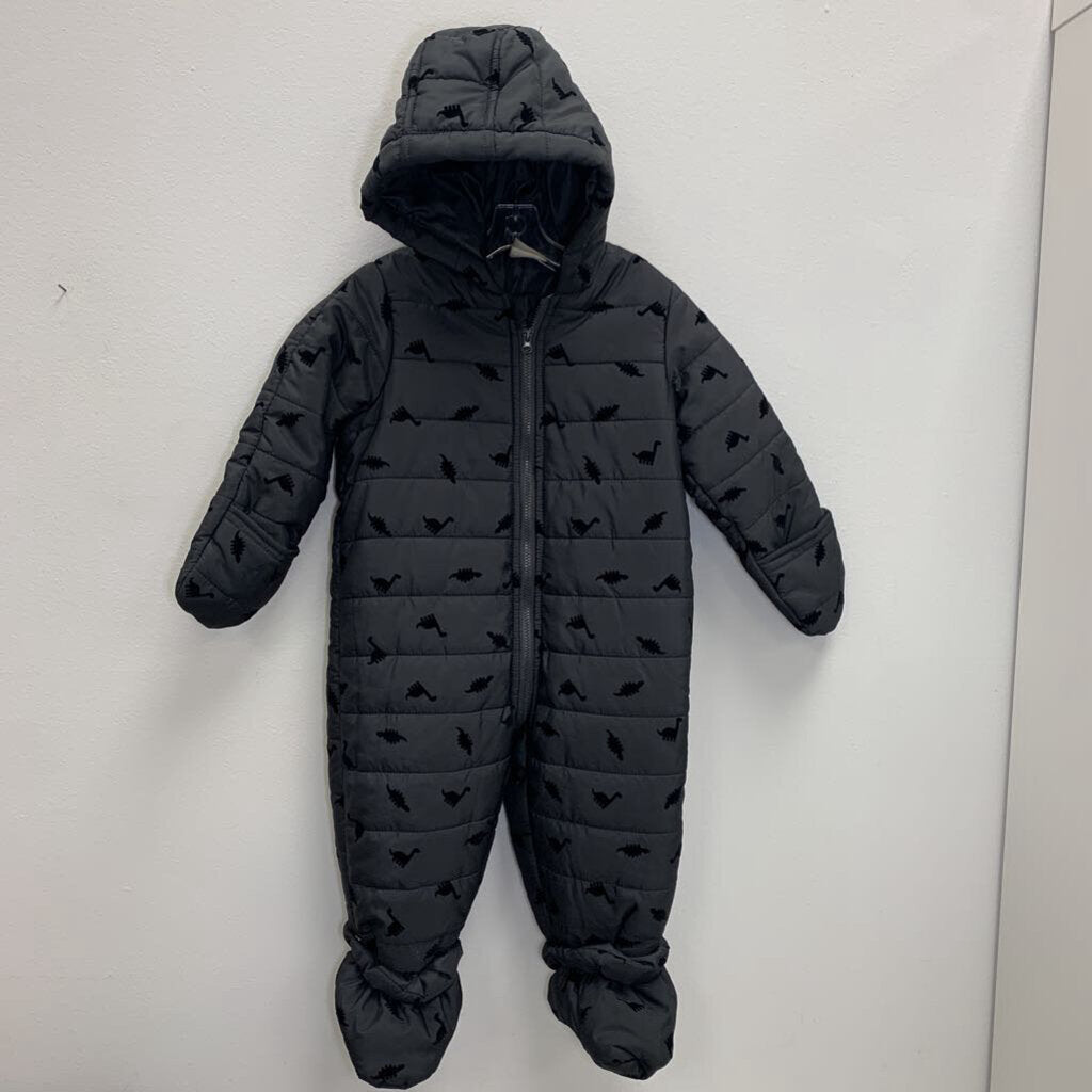 12M: Snowsuit - Dinosaurs