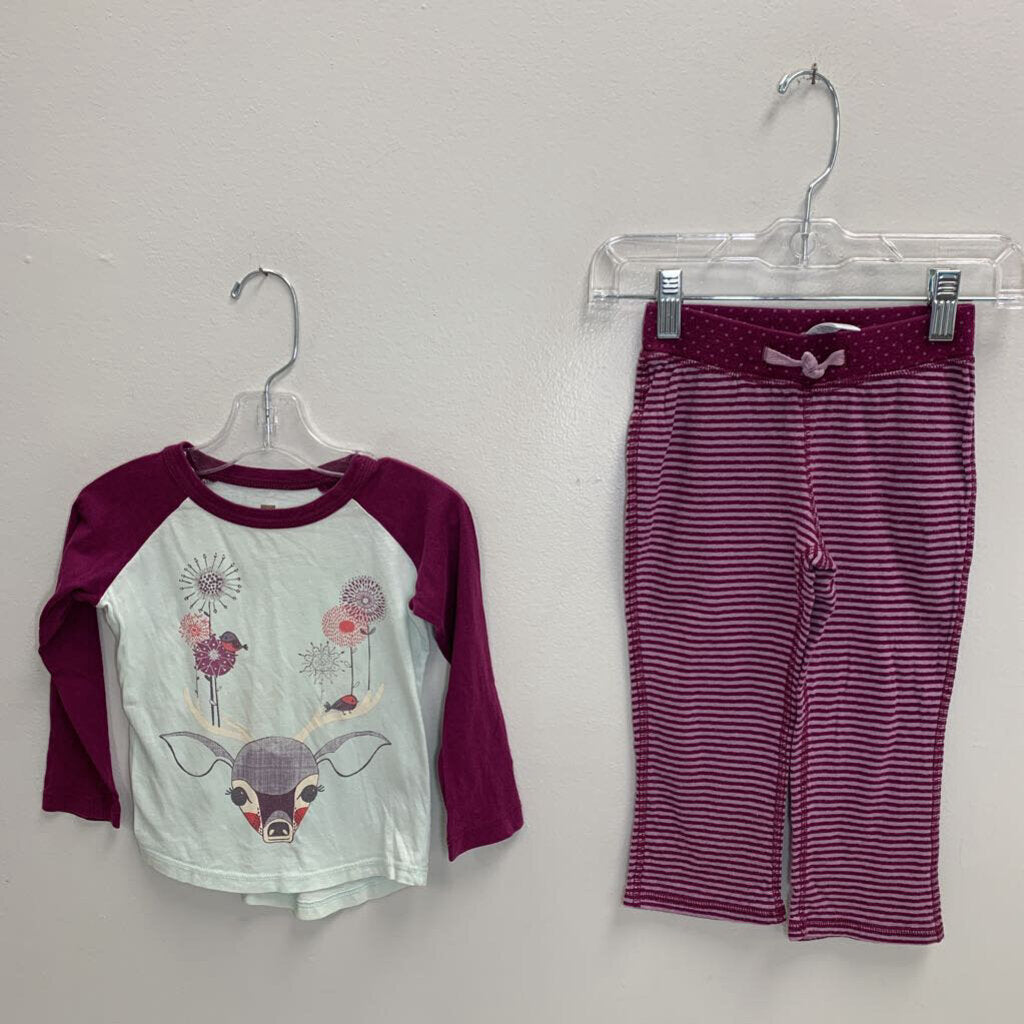 2: Raglan T-Shirt + Reversible Pull On Pants - Woodland Stripes