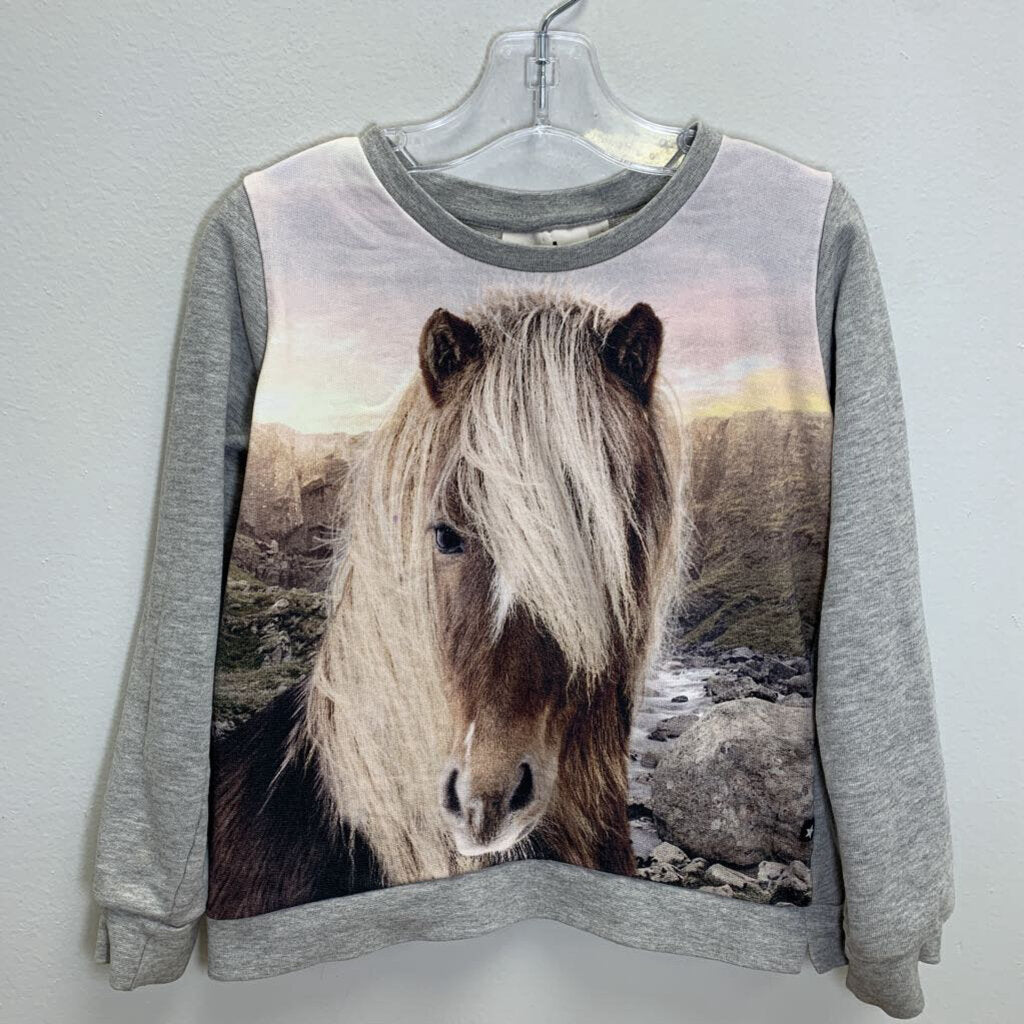 6: Sweatshirt - Silkscreen Horse