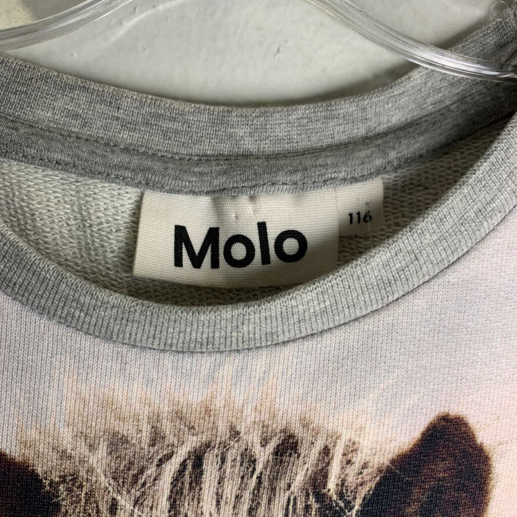 6: Sweatshirt - Silkscreen Horse