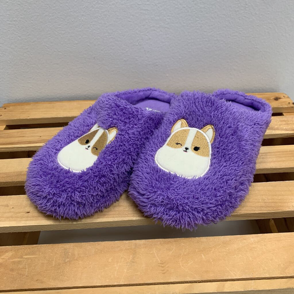 2-3: Regina the Corgi Fuzzy Slippers