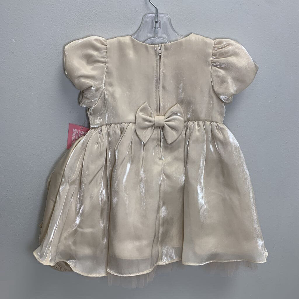 24M: Shimmer Organza Dress + Diaper Cover NWT